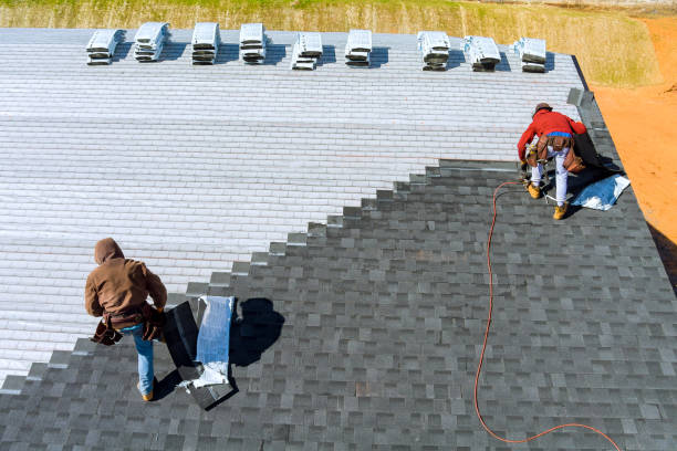 Best Roof Gutter Cleaning  in Danbury, CT